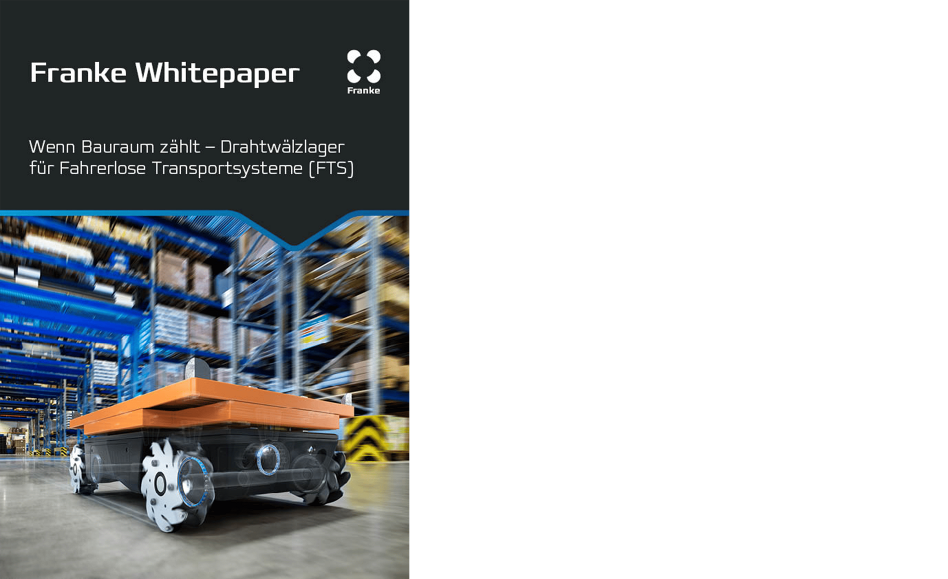 Whitepaper FTS (Wälzlager)