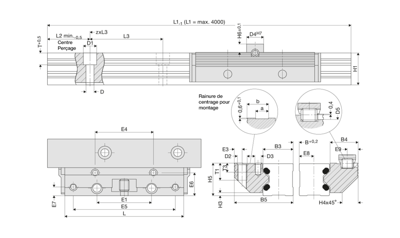 Paire de rails simples  FDG Anti-Corrosion Low Cost